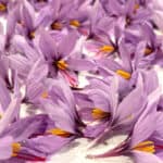 Why is Saffron So Expensive